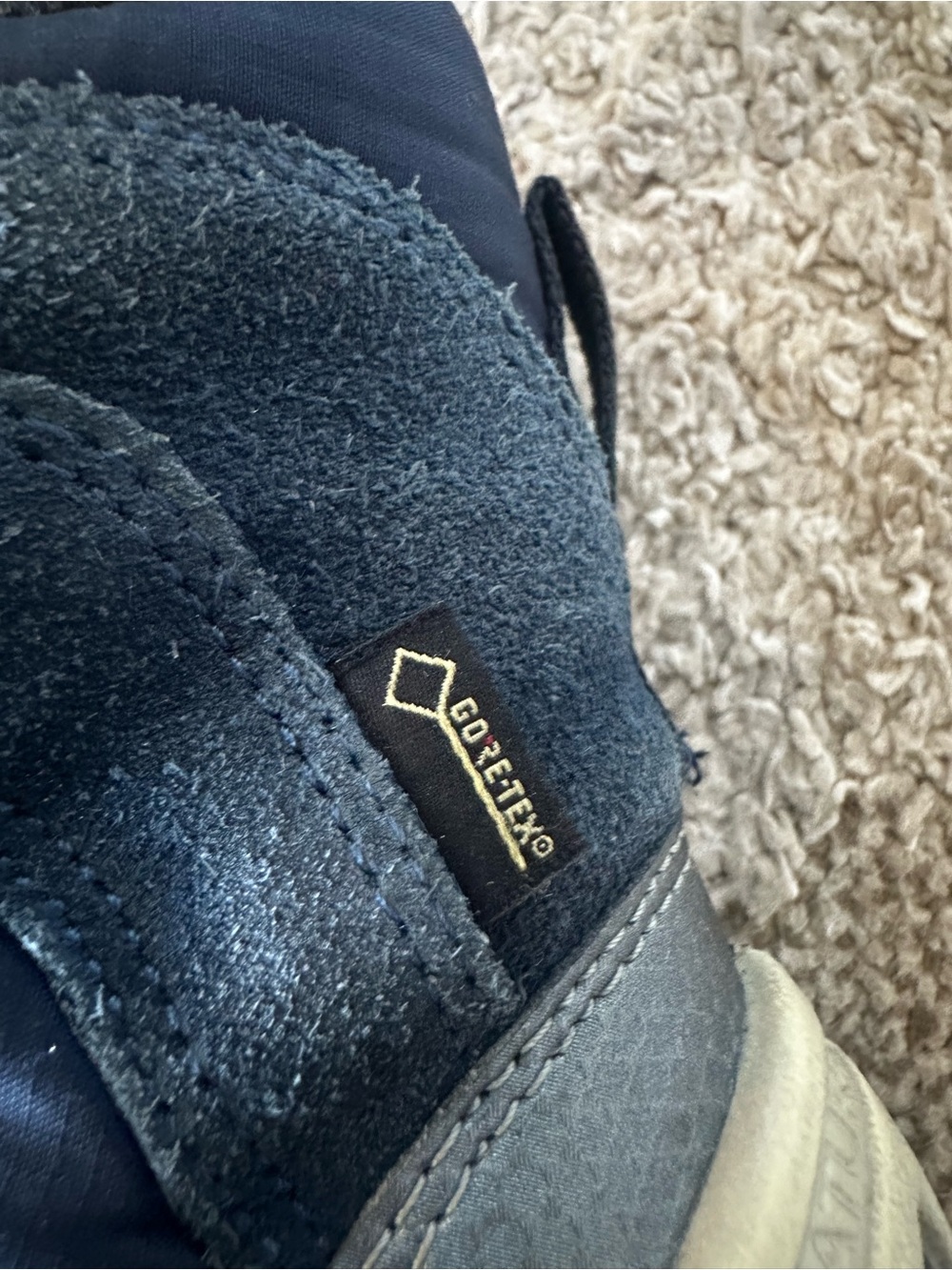 Ecco Winter Boots